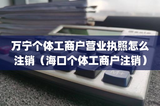 万宁个体工商户营业执照怎么注销(海口个体工商户注销)