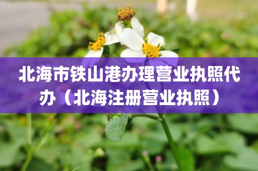 北海市铁山港办理营业执照代办(北海注册营业执照)