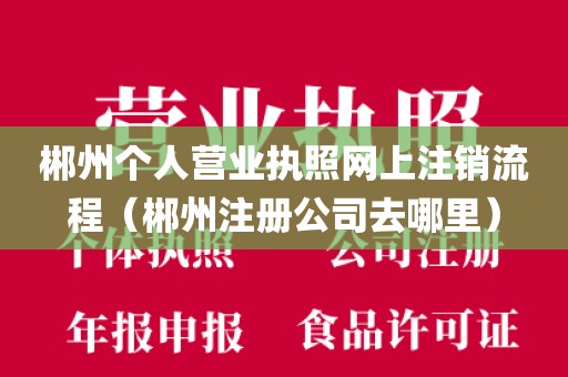 郴州个人营业执照网上注销流程（郴州注册公司去哪里）