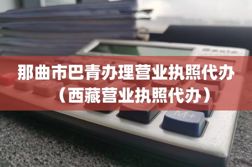 那曲市巴青办理营业执照代办（西藏营业执照代办）