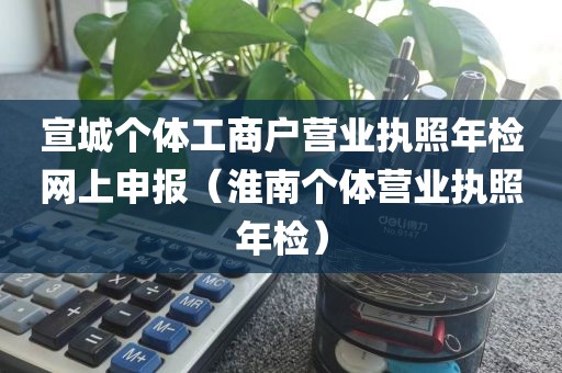 宣城个体工商户营业执照年检网上申报（淮南个体营业执照年检）
