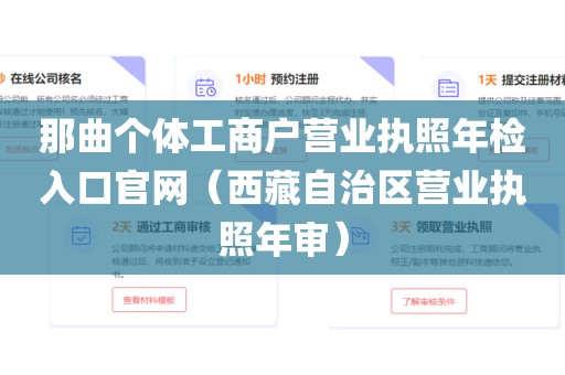那曲个体工商户营业执照年检入口官网（西藏自治区营业执照年审）