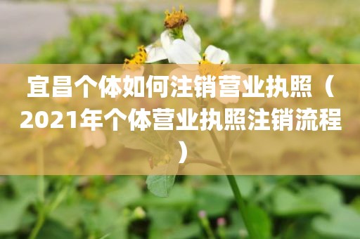 宜昌个体如何注销营业执照(2021年个体营业执照注销流程)