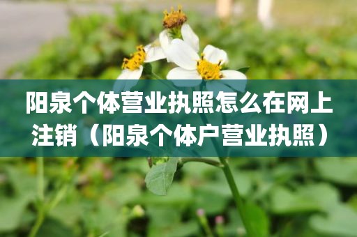 阳泉个体营业执照怎么在网上注销（阳泉个体户营业执照）