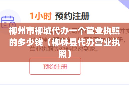柳州市柳城代办一个营业执照的多少钱(柳林县代办营业执照)