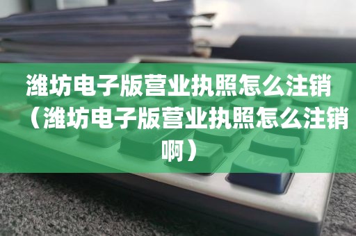 潍坊电子版营业执照怎么注销（潍坊电子版营业执照怎么注销啊）