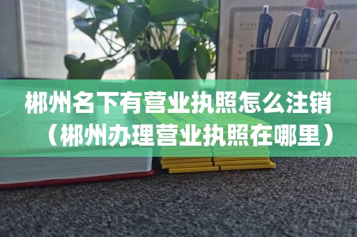 郴州名下有营业执照怎么注销(郴州办理营业执照在哪里)