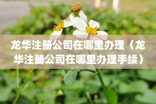 龙华注册公司在哪里办理(龙华注册公司在哪里办理手续)