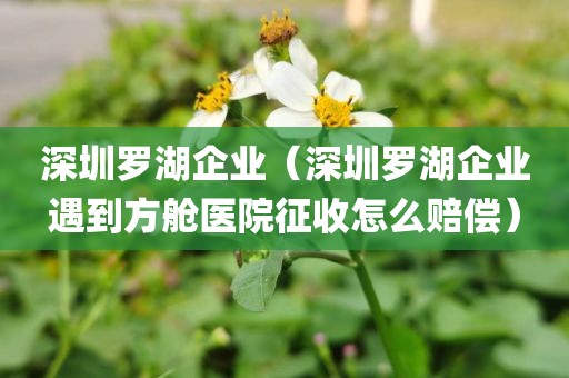 深圳罗湖企业（深圳罗湖企业遇到方舱医院征收怎么赔偿）