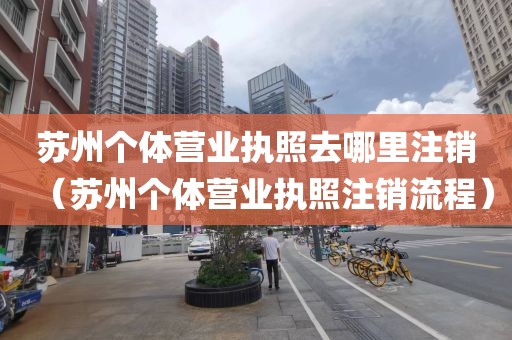 苏州个体营业执照去哪里注销（苏州个体营业执照注销流程）