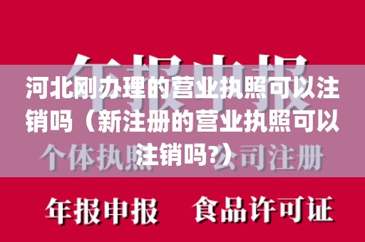 河北刚办理的营业执照可以注销吗（新注册的营业执照可以注销吗?）