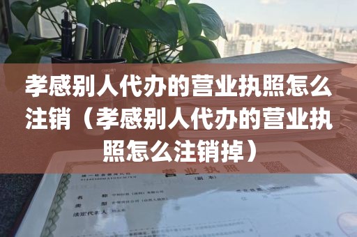 孝感别人代办的营业执照怎么注销（孝感别人代办的营业执照怎么注销掉）