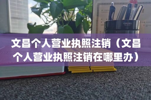 文昌个人营业执照注销（文昌个人营业执照注销在哪里办）