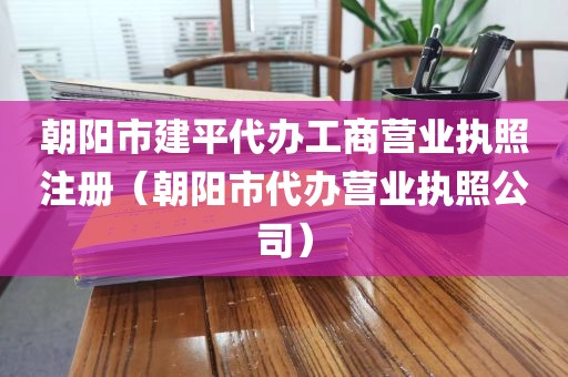 朝阳市建平代办工商营业执照注册(朝阳市代办营业执照公司)
