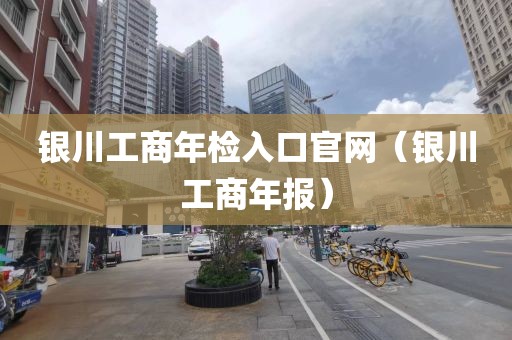 银川工商年检入口官网(银川工商年报)