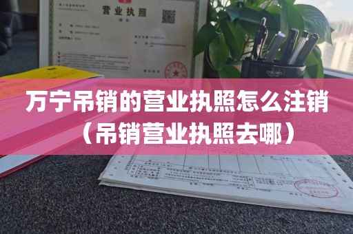 万宁吊销的营业执照怎么注销（吊销营业执照去哪）