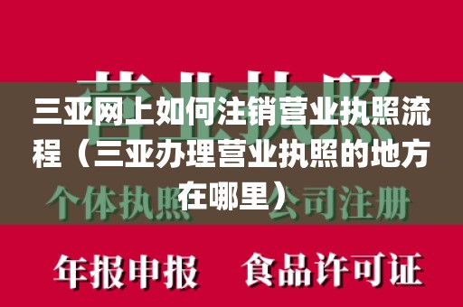 三亚网上如何注销营业执照流程（三亚办理营业执照的地方在哪里）