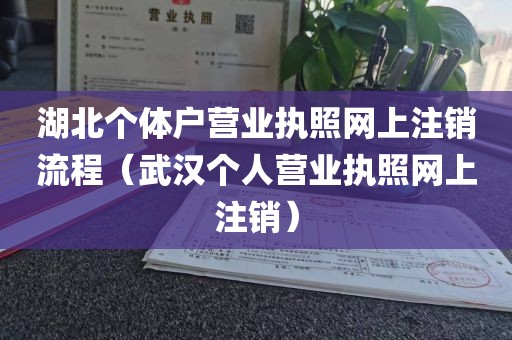 湖北个体户营业执照网上注销流程（武汉个人营业执照网上注销）