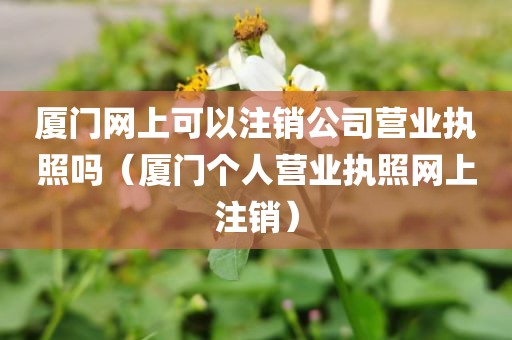 厦门网上可以注销公司营业执照吗（厦门个人营业执照网上注销）