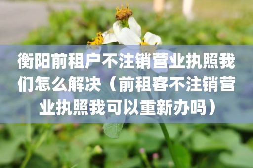 衡阳前租户不注销营业执照我们怎么解决（前租客不注销营业执照我可以重新办吗）