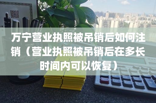 万宁营业执照被吊销后如何注销(营业执照被吊销后在多长时间内可以恢复)