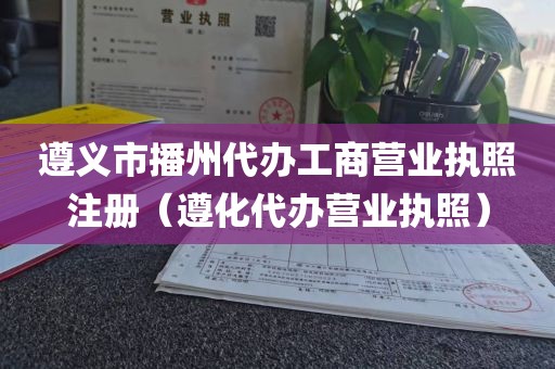 遵义市播州代办工商营业执照注册（遵化代办营业执照）