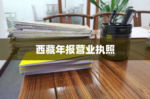 西藏年报营业执照