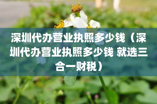 深圳代办营业执照多少钱（深圳代办营业执照多少钱 就选三合一财税）