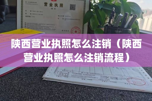 陕西营业执照怎么注销（陕西营业执照怎么注销流程）