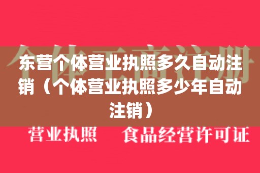 东营个体营业执照多久自动注销(个体营业执照多少年自动注销)