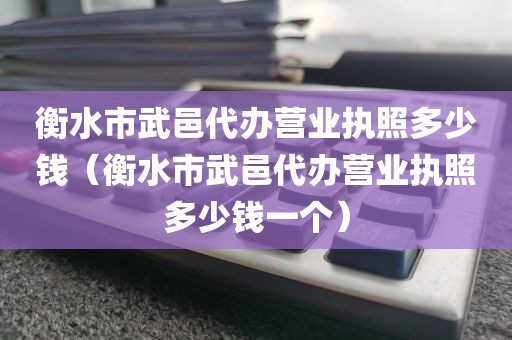 衡水市武邑代办营业执照多少钱(衡水市武邑代办营业执照多少钱一个)