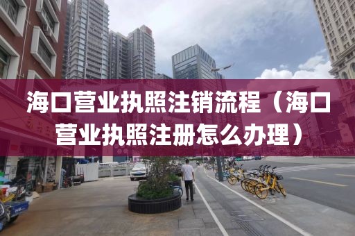海口营业执照注销流程（海口营业执照注册怎么办理）