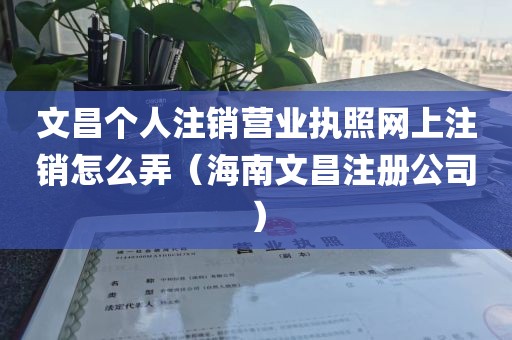 文昌个人注销营业执照网上注销怎么弄（海南文昌注册公司）