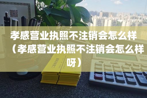 孝感营业执照不注销会怎么样（孝感营业执照不注销会怎么样呀）