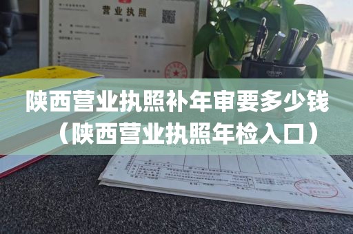 陕西营业执照补年审要多少钱（陕西营业执照年检入口）