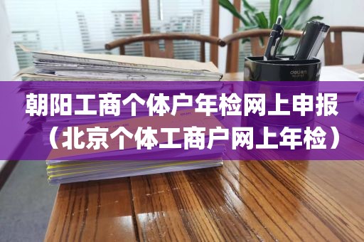 朝阳工商个体户年检网上申报（北京个体工商户网上年检）