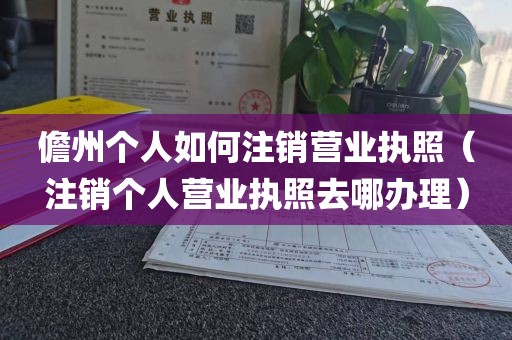 儋州个人如何注销营业执照（注销个人营业执照去哪办理）