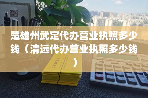 楚雄州武定代办营业执照多少钱（清远代办营业执照多少钱）