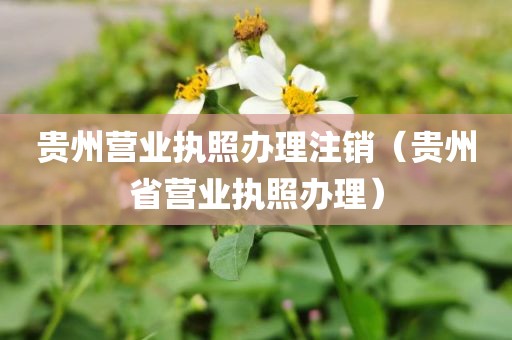 贵州营业执照办理注销(贵州省营业执照办理)