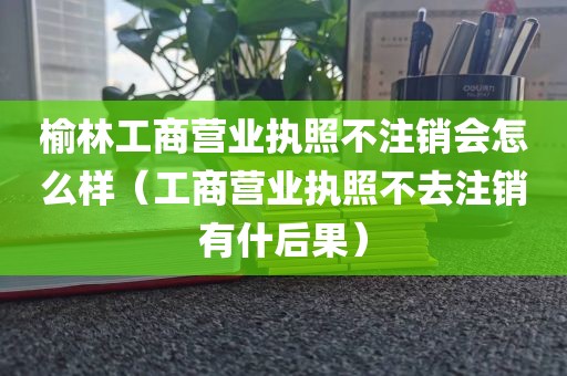 榆林工商营业执照不注销会怎么样(工商营业执照不去注销有什后果)