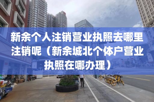 新余个人注销营业执照去哪里注销呢(新余城北个体户营业执照在哪办理)