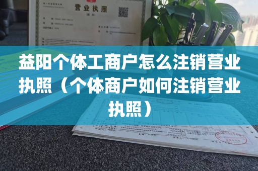 益阳个体工商户怎么注销营业执照（个体商户如何注销营业执照）