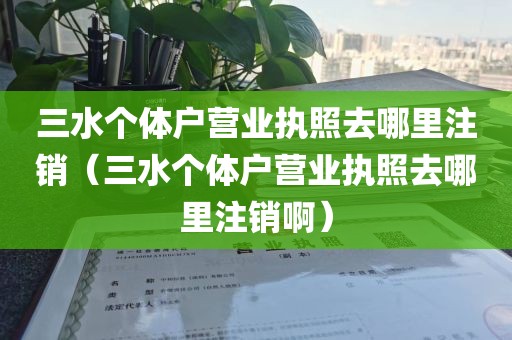 三水个体户营业执照去哪里注销（三水个体户营业执照去哪里注销啊）