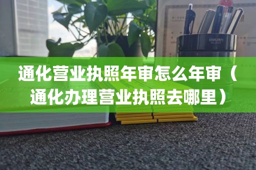 通化营业执照年审怎么年审（通化办理营业执照去哪里）