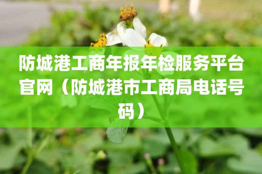 防城港工商年报年检服务平台官网（防城港市工商局电话号码）