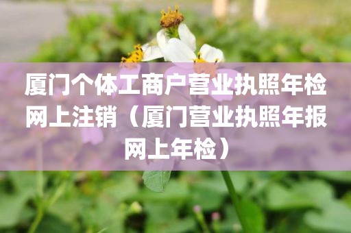 厦门个体工商户营业执照年检网上注销（厦门营业执照年报网上年检）
