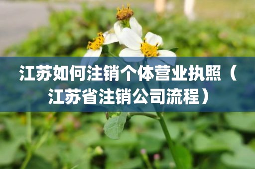 江苏如何注销个体营业执照（江苏省注销公司流程）