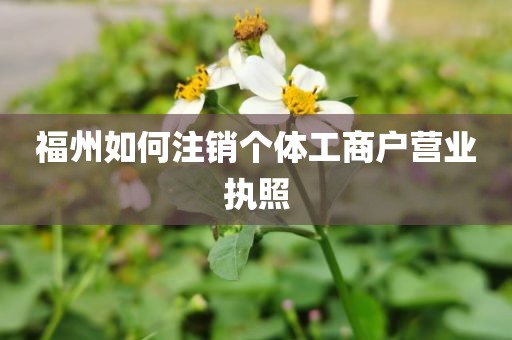 福州如何注销个体工商户营业执照