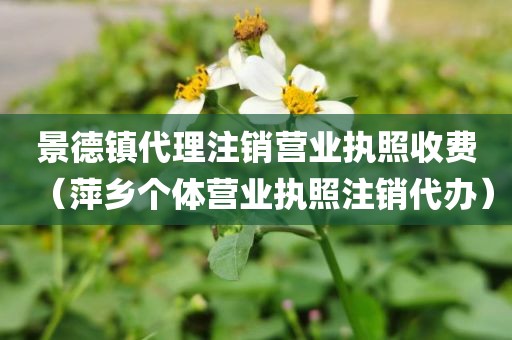 景德镇代理注销营业执照收费（萍乡个体营业执照注销代办）
