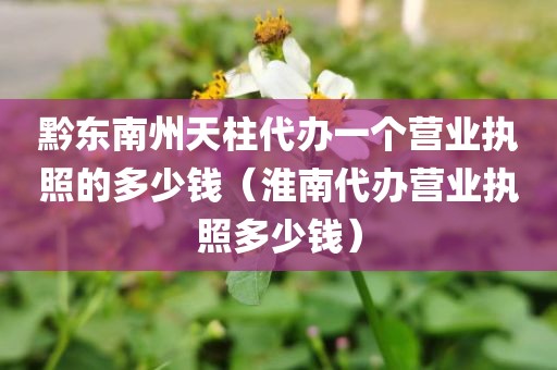 黔东南州天柱代办一个营业执照的多少钱（淮南代办营业执照多少钱）